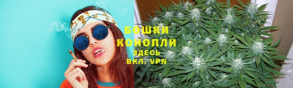индика Белоозёрский
