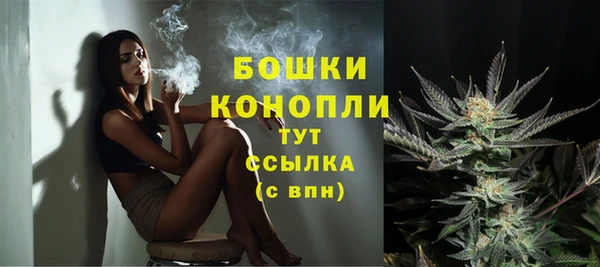 спиды Белокуриха