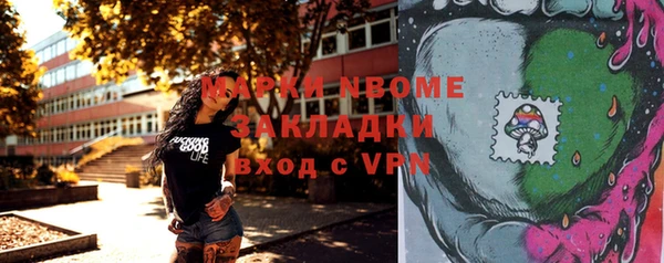 гашик Переславль-Залесский