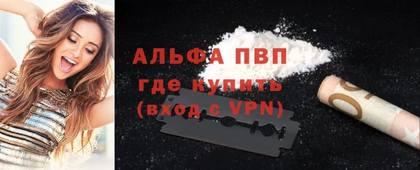 индика Белоозёрский