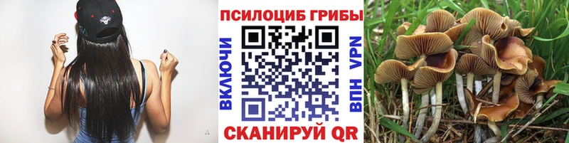 Псилоцибиновые грибы Cubensis  ОМГ ОМГ ссылка  Новоаннинский 